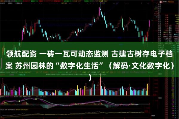 领航配资 一砖一瓦可动态监测 古建古树存电子档案 苏州园林的“数字化生活”（解码·文化数字化）