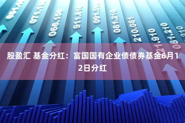 股盈汇 基金分红：富国国有企业债债券基金6月12日分红