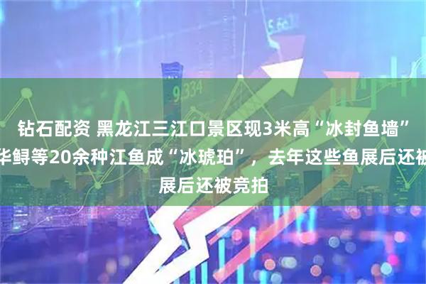 钻石配资 黑龙江三江口景区现3米高“冰封鱼墙”，中华鲟等20余种江鱼成“冰琥珀”，去年这些鱼展后还被竞拍